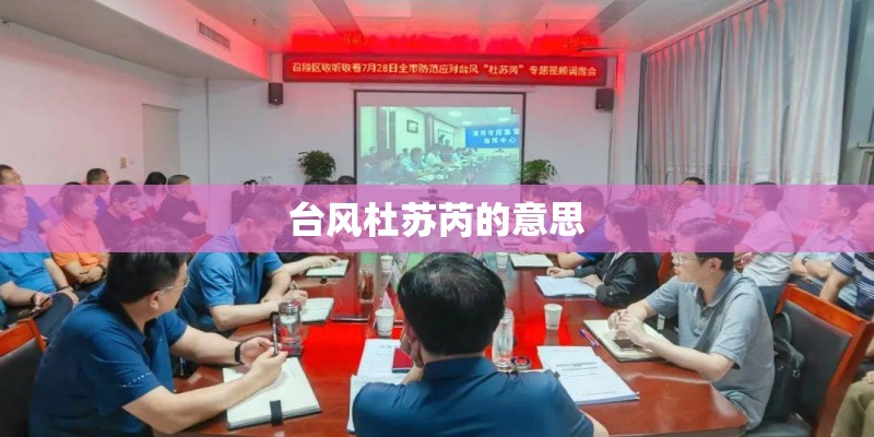 台风杜苏芮的意思