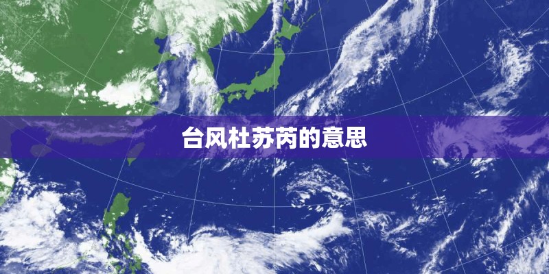 台风杜苏芮的意思