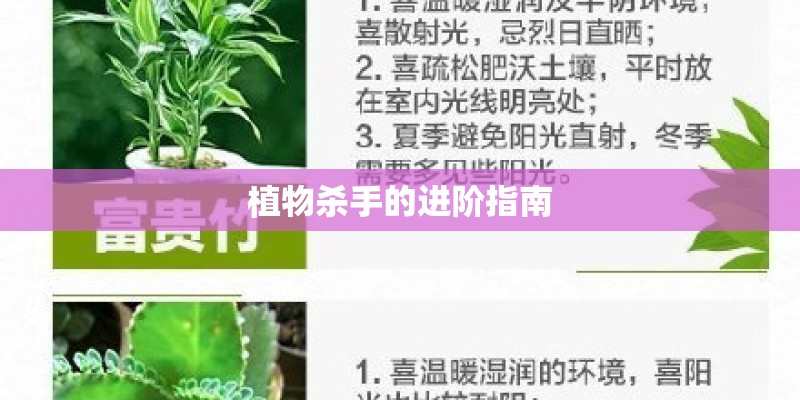 植物杀手的进阶指南 植物杀手的进阶指南