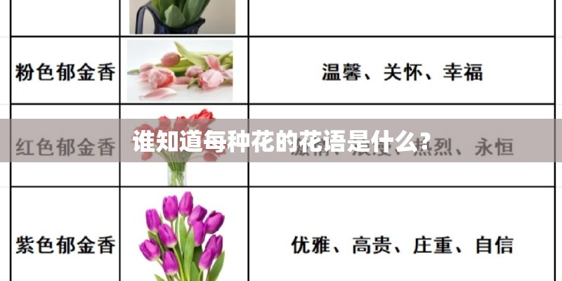 谁知道每种花的花语是什么？
