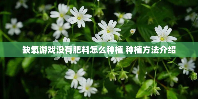 缺氧游戏没有肥料怎么种植 种植方法介绍 缺氧游戏没有肥料怎么种植 种植方法介绍
