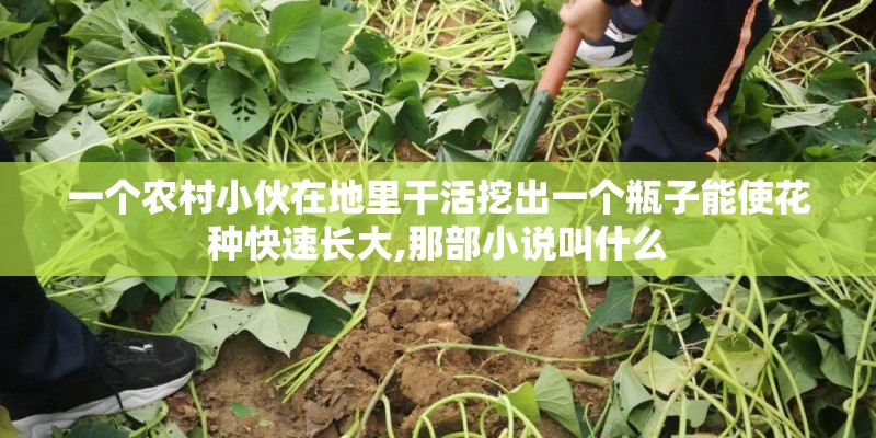 一个农村小伙在地里干活挖出一个瓶子能使花种快速长大,那部小说叫什么