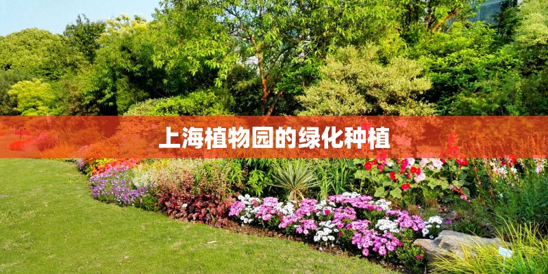 上海植物园的绿化种植