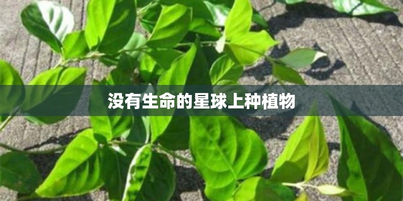 没有生命的星球上种植物