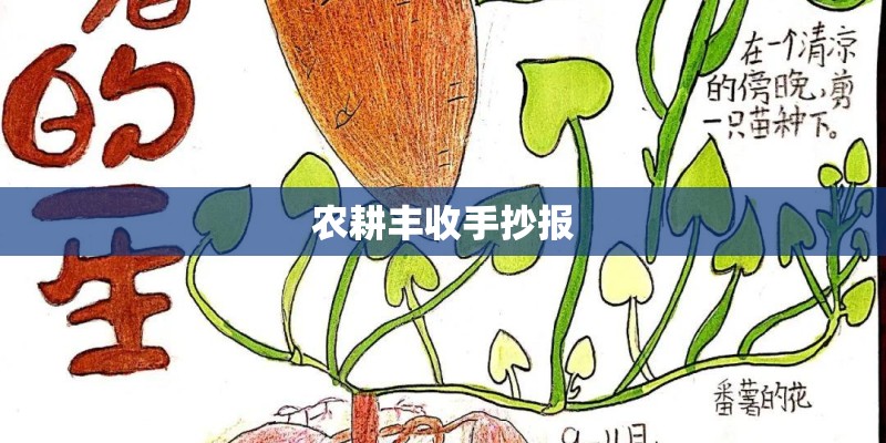 农耕丰收手抄报