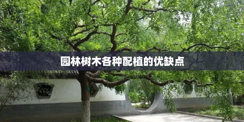 园林树木各种配植的优缺点