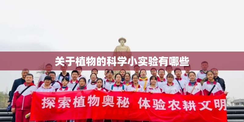 关于植物的科学小实验有哪些
