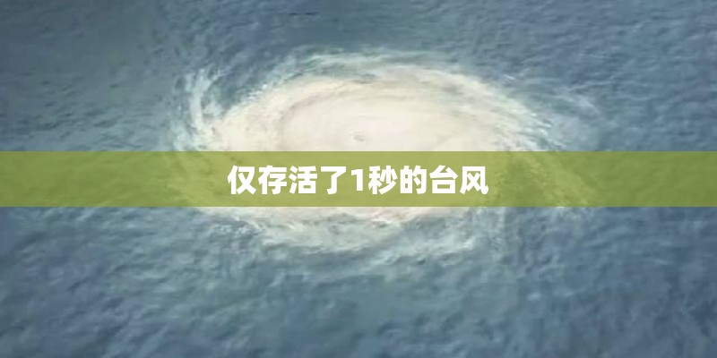 仅存活了1秒的台风
