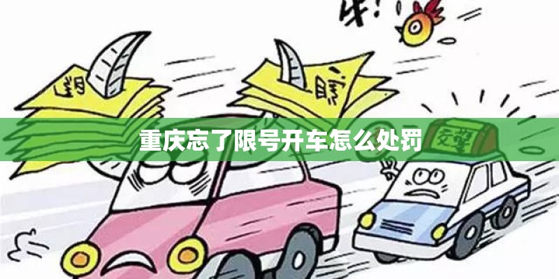 重庆忘了限号开车怎么处罚