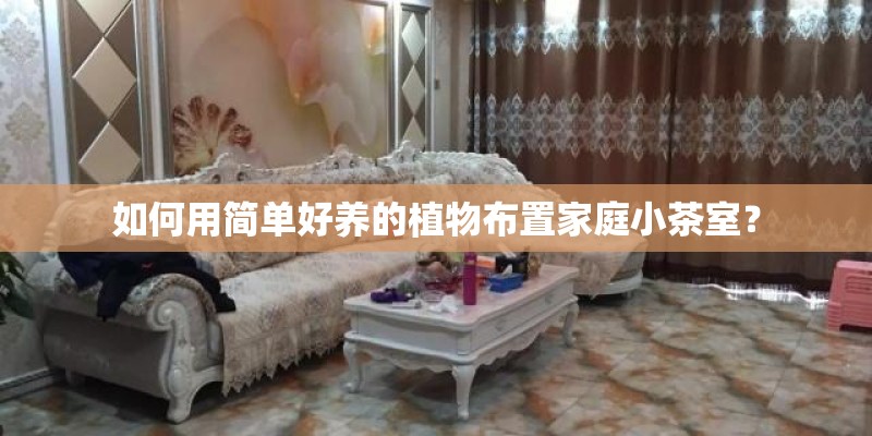 如何用简单好养的植物布置家庭小茶室？