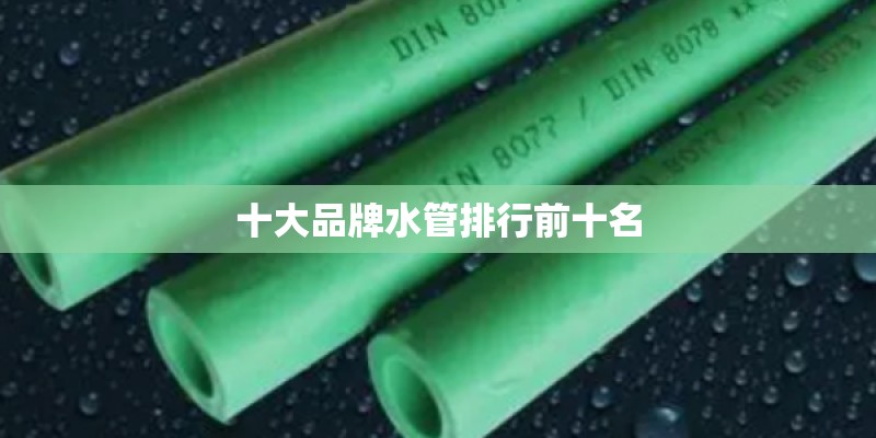 十大品牌水管排行前十名