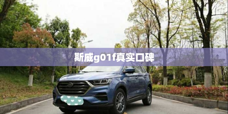 斯威g01f真实口碑