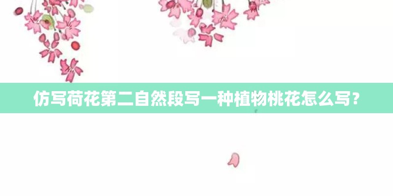仿写荷花第二自然段写一种植物桃花怎么写？